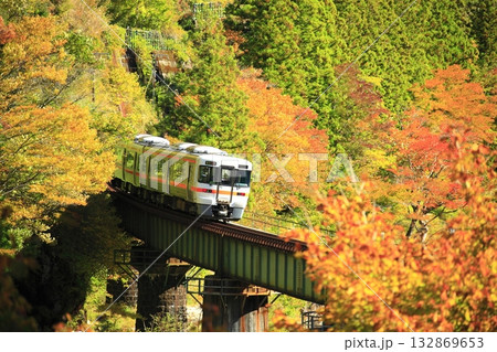 絶景紅葉の高山本線 132869653
