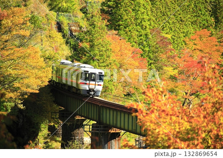 絶景紅葉の高山本線 132869654