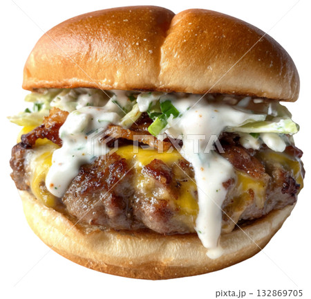 burger burger 132869705