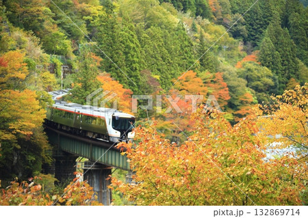 紅葉の中を走るワイドビューひだ 132869714