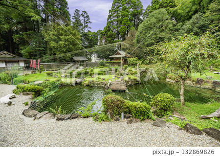 都農神社　西神苑　宮崎県都農町 132869826