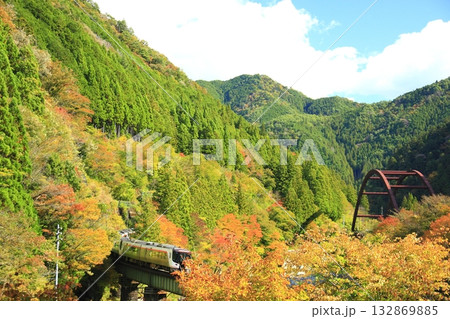 紅葉の中を走るワイドビューひだ 132869885