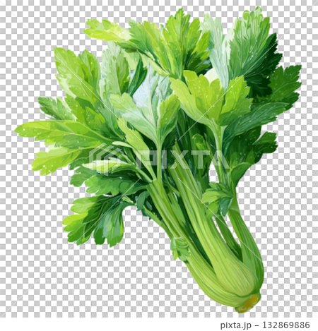 Celery 132869886
