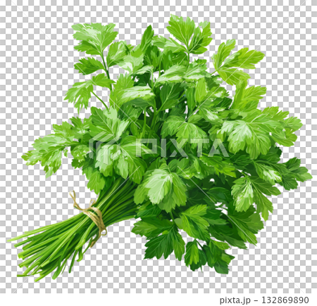 Celery 132869890
