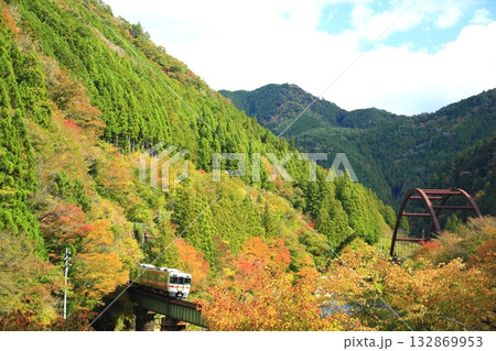 絶景紅葉の中を走るロ－カル列車 132869953