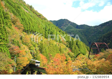 絶景紅葉の中を走るロ-カル列車 絶景紅葉の中を走るロ-カル列車 132869954