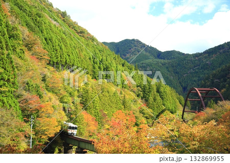 絶景紅葉の中を走るロ－カル列車 132869955