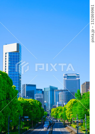 【東京都】5月・芝公園周辺の都市風景《409号線》 【東京都】5月・芝公園周辺の都市風景《409号線》 132869961