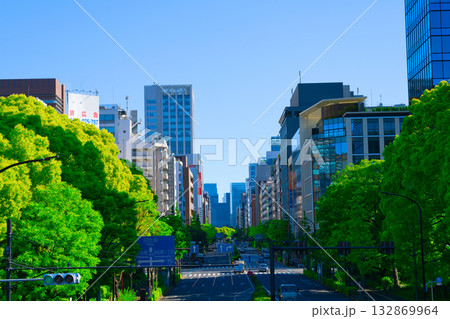 【東京都】5月・芝公園周辺の都市風景《409号線》 132869964
