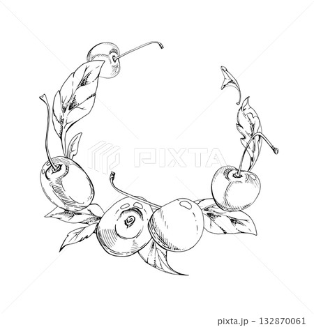 Sweet sour line cherry with plant leaves, hand drawn vector ink, ripe garden berry in group clusters on branches. Wreath circle frame illustration for cafe menu, restaurant, wedding, farmers market. 132870061