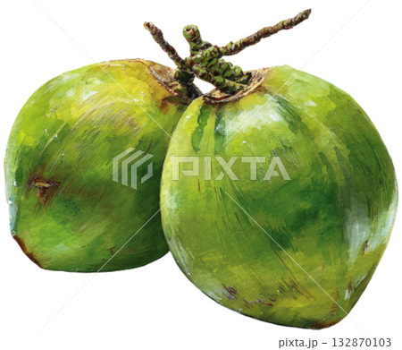 coconut 132870103