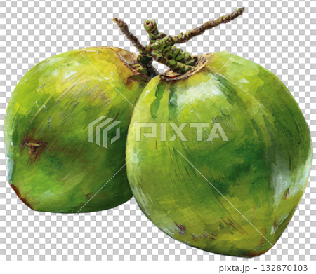 coconut 132870103