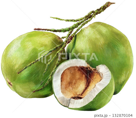 coconut coconut 132870104
