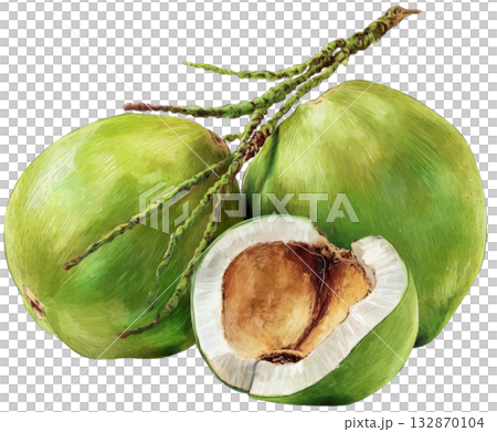 coconut coconut 132870104