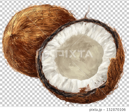 coconut coconut 132870106