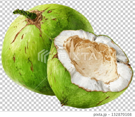 coconut coconut 132870108