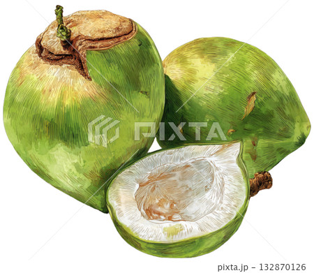 coconut coconut 132870126