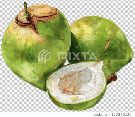 coconut coconut 132870126