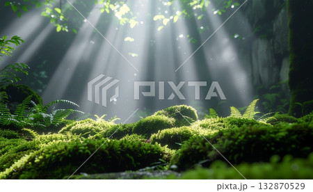 木漏れ日の差す森の背景5 木漏れ日の差す森の背景5 132870529