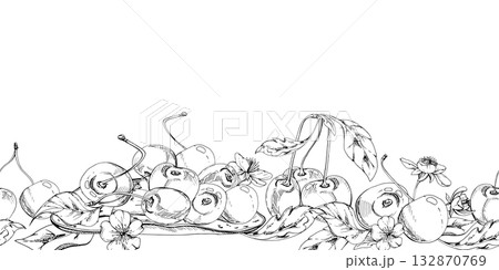 Sweet sour line cherry white flowers, plant leaves, hand drawn vector ink, cerise berry in clusters on branches. Seamless banner garland illustration. Restaurant, cafe menu, wedding, farmers market 132870769