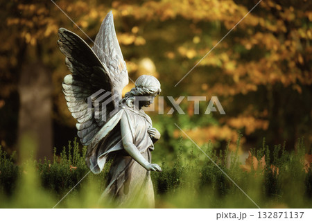 angel statue with detailed wings and bowed head angel statue with detailed wings and bowed head 132871137