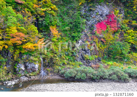 秋　富山　真背戸の滝 132871160