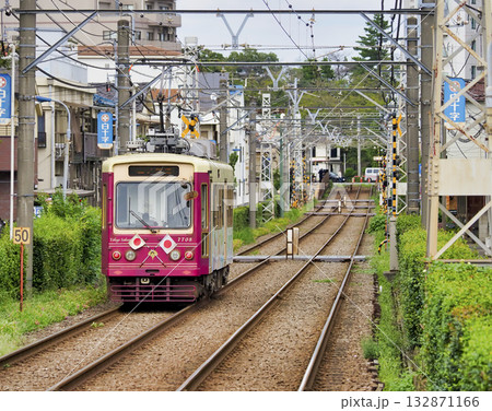 東京さくらトラム(都電荒川線)・滝野川一丁目停留所 東京さくらトラム(都電荒川線)・滝野川一丁目停留所 132871166