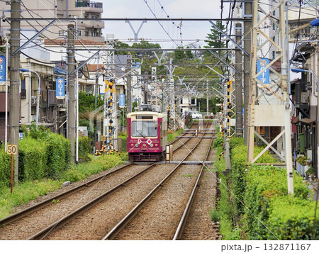 東京さくらトラム(都電荒川線)・滝野川一丁目停留所 東京さくらトラム(都電荒川線)・滝野川一丁目停留所 132871167