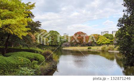 北の丸公園の秋 132871246
