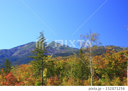 秋が深まる乗鞍高原 秋が深まる乗鞍高原 132871256