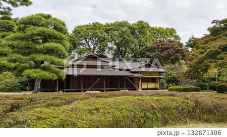皇居の東御苑の秋(紅葉) 皇居の東御苑の秋(紅葉) 132871306