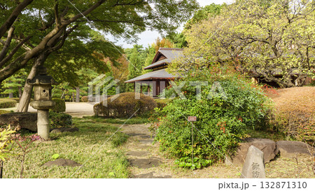 皇居の東御苑の秋（紅葉） 132871310