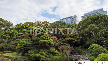 皇居の東御苑の秋（紅葉） 132871313