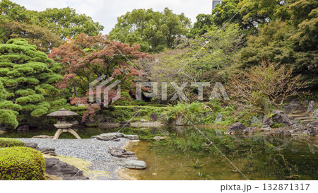 皇居の東御苑の秋（紅葉） 132871317