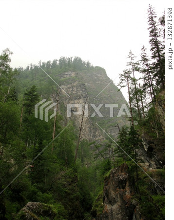 Tall pines and spruces create a dense wall of green. In the distance, mountains shrouded in mist are visible. Tall pines and spruces create a dense wall of green. In the distance, mountains shrouded in mist are visible. 132871398