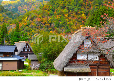 秋　五箇山　菅沼合掌集落 132871405