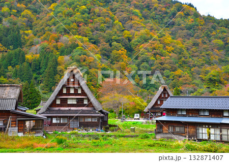 秋 五箇山 菅沼合掌集落 秋 五箇山 菅沼合掌集落 132871407
