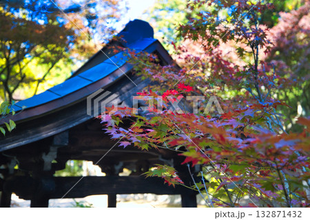 秋の山寺の庭は鮮やかに色づいて 132871432