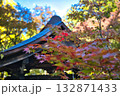 秋の山寺の庭は鮮やかに色づいて 132871433