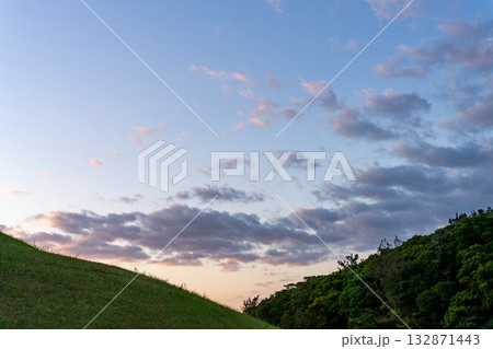 丘の上の大きな木 丘の上の大きな木 132871443