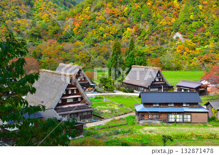 秋 五箇山 菅沼合掌集落 秋 五箇山 菅沼合掌集落 132871478