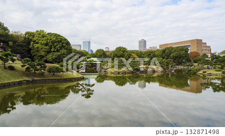 清澄庭園の秋 132871498