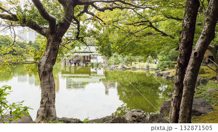 清澄庭園の秋 清澄庭園の秋 132871505