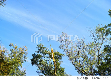 青空と雲イメージ 132871552