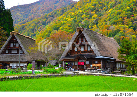 秋 五箇山 菅沼合掌集落 秋 五箇山 菅沼合掌集落 132871584