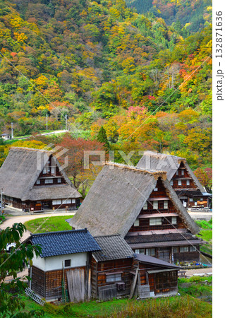 秋　五箇山　菅沼合掌集落 132871636