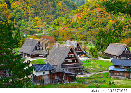 秋　五箇山　菅沼合掌集落 132871651
