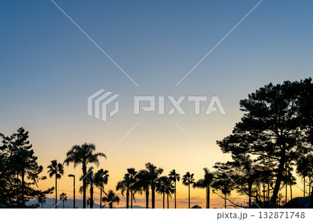 夕暮れの空と木のシルエットと夕焼け 132871748