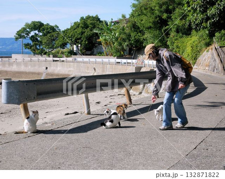 湯島の猫と遊ぶ女性　（熊本県上天草市） 132871822