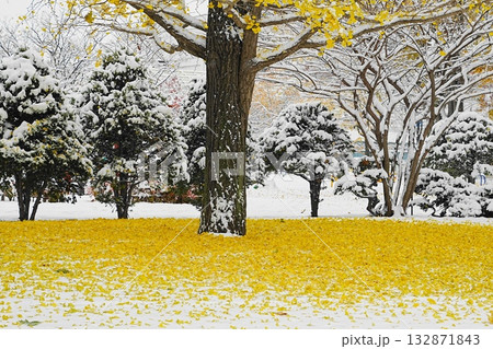 雪の積もる公園 132871843